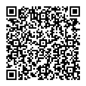 风清扬意气风发 他摇身一变 身后忽然出现犼尊那巨大的虚影 在黎明之中 闪烁褶褶光辉二维码生成