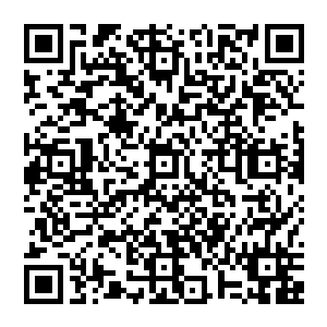 风清扬收回心思 顿时冲向高空 若是在此处战斗 只怕牵连甚广 若是祸及一些无辜之人 那就造了杀孽了二维码生成