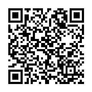 风灵道是凭借化婴名仙榜前十的强横法力以及长生剑道二维码生成