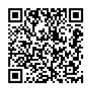风王恐怕做梦也没想到自己最终会死在自己的龙卷风之中二维码生成
