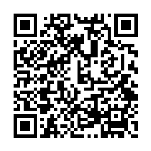 风琴很快翻完了那个小小的就没多少东西的包袱二维码生成