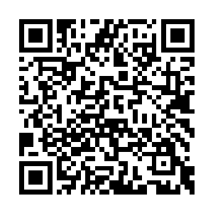 风笑天自然是十分的清楚这孕灵之体是什么概念二维码生成