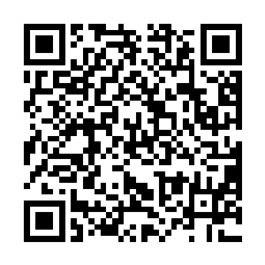 风翔宇跟雷灵宗的众人的争斗也是到了如火如荼的程度二维码生成