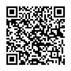 风苍梧只是在那几个人的面前表演了一手出神入化的茶道二维码生成