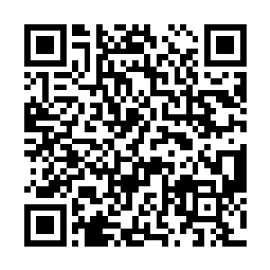 风萧萧很轻松就把那个傻不愣登的女人骗了进去……二维码生成