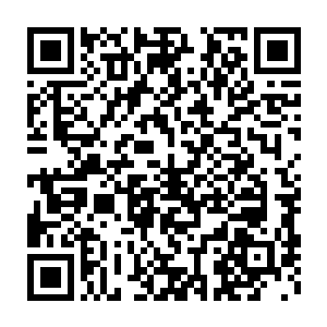 风语老人倒是猜测出人面鲲鹏前来很可能是为了刚诞生的生命之子二维码生成