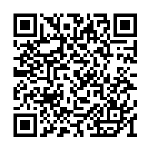 风语者的机翼要比张铁驾驶的猎鹰级要宽上许多二维码生成