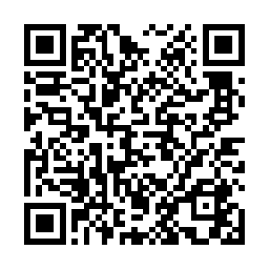 风铃早早地坐在书桌前开始研习今天须菩提授予的功课二维码生成