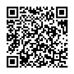 飘动的鳞甲尤其是鳞甲尾段的红须飘荡的更厉害二维码生成