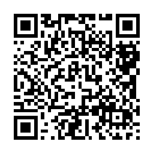 飘在半空中的龙傲天欣赏的望着长八和木武的表现二维码生成