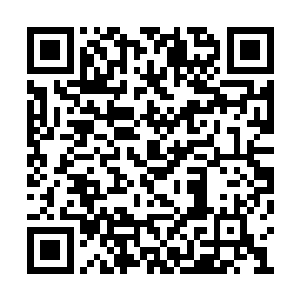 飘飘洒洒的向着无数个雷蛇所在的位置移动而去二维码生成