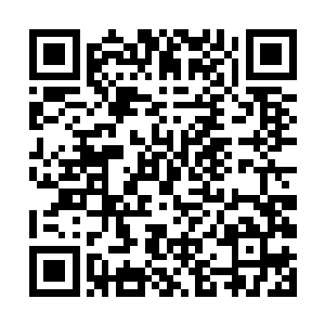 飞入此社稷图中薄弱的云烟之中并不会马上给吞噬掉二维码生成