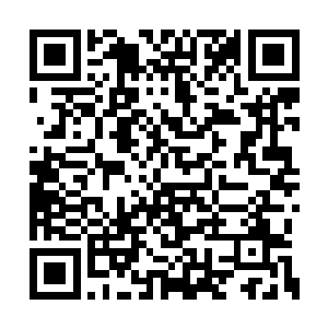 飞凤阁众位姑娘学习易筋锻骨术的热情十分高涨二维码生成