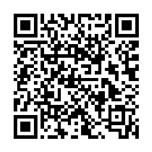 飞剑以不逊于大圣域强者的飞行速度快速飞向北都学府二维码生成