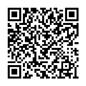 飞升修士们只是一群只知道修炼不懂得生活的人二维码生成