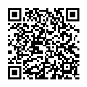 飞升修士要的不就是一个可以在九域安安稳稳修炼的环境吗二维码生成