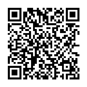 飞在最前方的一名中年男子望着突然出现的剑尘二维码生成