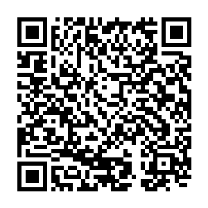 飞天婴颅五骷髅力士等厉害的魔道法宝就跟收割麦子一样收割着他们的性命二维码生成