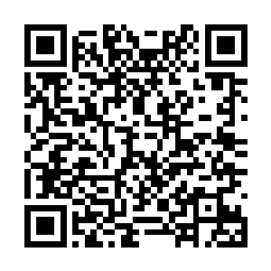 飞天炎狮和幻影雷豹在大晋国算是比较高档的魔兽二维码生成