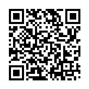 飞天炎狮还真的没比幻影雷豹强多少二维码生成