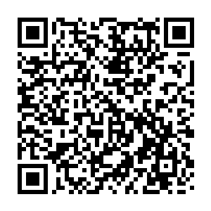 飞天鼠遭遇了它有生以来最大的出卖――北海冰龙与无根树祖出卖了它二维码生成