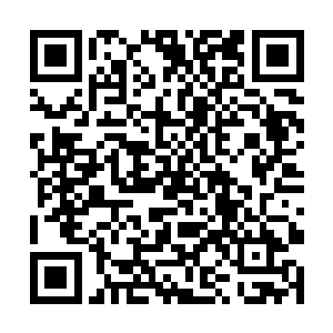 飞快的从挎包中取出了一枚足足有十多厘米长的银针二维码生成