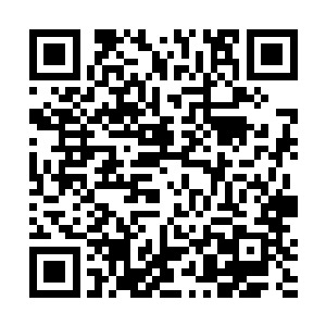 飞昌门强者特意将即将成熟的神玄赤炎草移植到玄火域二维码生成