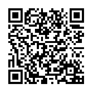 飞星和血妖三界只剩下一个人对这场战争充满信心二维码生成