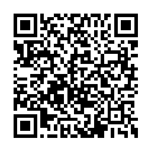 飞星和那些在盐湖抓过来的飞龙部落的人被放开二维码生成