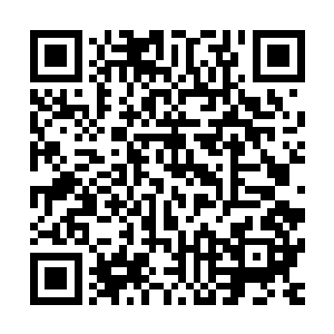 飞星大学占据了天圣城最靠近核心城区的三号环形轨道生活圈二维码生成