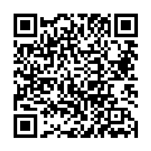 飞星自己危在旦夕哪里有心情关心旁边的女人是死是活二维码生成