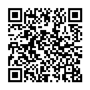 飞机上只剩下了昏迷的洛天星跟匆忙操作起来的医护人员二维码生成