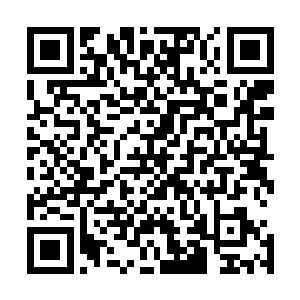 飞机上的方剑雄对于美国会答应他苛刻的要求一点都不怀疑二维码生成