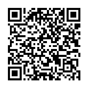 飞机兄弟会的一干家伙都听到了布尔维克肋骨断裂的声音二维码生成