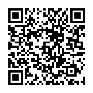 飞机兄弟会的全部成员也就在场的这么几位了――沙文二维码生成