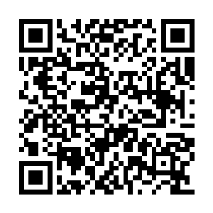 飞毛族男孩走到江帆面前伸手就要拉江帆的胳膊二维码生成