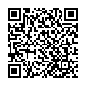 飞章和斯图两名骨器师互看后把人都叫进了自己屋里二维码生成