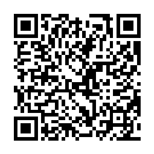 飞舟另外一边泳池里传来的嬉闹声也就更加的清晰起来二维码生成