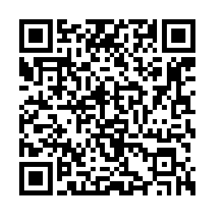 飞船上所有人虽然知道幽灵王和两神兽实力高深二维码生成