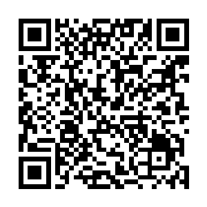 飞达完全没想到龙战竟然当着他的面撬他们飞龙部落的人二维码生成