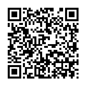 飞达想要翻脸动手得掂量掂量一下双方实力的差距二维码生成