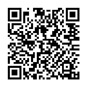 飞速击打的拳头在肥胖的身体上敲击出密集的鼓点二维码生成