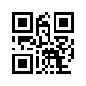 飞雪二维码生成