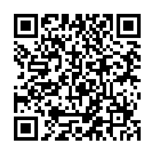飞龙有天和鬼邪青是整群龙灵兽之中最为狡猾奸诈的两个二维码生成