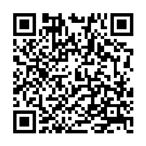 飞龙部落的人虽然很急躁但是没有人敢发声挑衅二维码生成