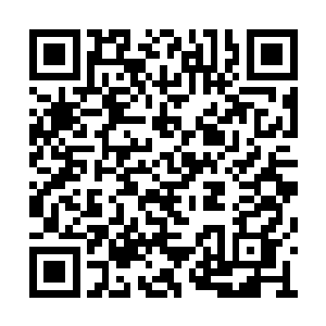 飞龙部落的人顿时又像是无头苍蝇一般熙攘起来二维码生成