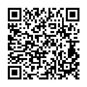 飞龙部落过来的人老老少少加到一起有一百五十多个二维码生成