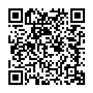食脑魔仆从同样可以转化人类――通过吃掉他们的脑袋二维码生成