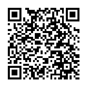 食脑魔的进攻手段太单一了――他们只能通过血盆大口咬人二维码生成