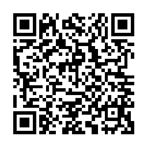 食谱里本来就没有肉排这种东西的两只水母看着递到眼皮子底下二维码生成